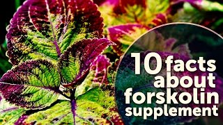 10 Facts About Forskolin Supplement [upl. by Ahsilrak]