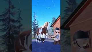 got 2 new horses This is rocket  WLA RP strideway roblox [upl. by Aday]