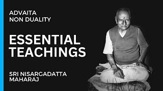 There is no such thing as a person  Nisargadatta Maharaj  I am That [upl. by Giarg]