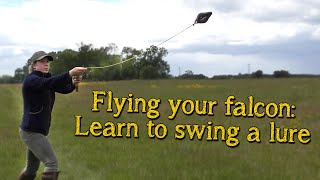 Falconry Basics  Introduction To Lure Flying Your Falcon [upl. by Leen]