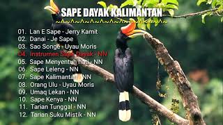 Sape Dayak Kalimantan [upl. by Airednaxela]