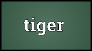 Tiger Meaning [upl. by Kella]