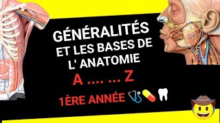 ANATOMIE HUMAINE 🩺  GÉNÉRALITÉS ET LES BASES D ANATOMIE 🦴🫁🧠 1ÈRE ANNÉE MÉDECINE 🩺 PHARMACIE 💊 [upl. by Hidie]