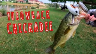 Bass Love Bird Lures  Throwback Chickadee Crawler [upl. by Trofmoc]