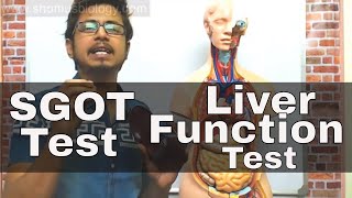 SGOT test in Hindi  SGOT test procedure [upl. by Naugan470]