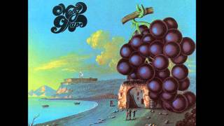 Stop Demo  Previously Unissued  Moby Grape [upl. by Annaej]