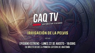 CAQ TV 2022  Episodio 16 Irrigación de la pelvis [upl. by Thora]