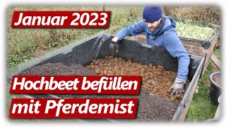 Gartenarbeit Januar  Hochbeet befüllen mit Pferdemist Knoblauch erfolgreich stecken 2023 [upl. by Enail247]