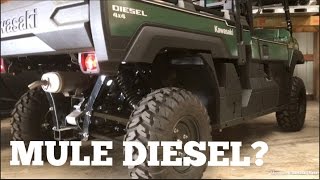 Kawasaki MULE PRODX EPS DIESEL  Should We Buy it [upl. by Namharludba107]