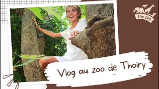 Vlog Zoo de Thoiry en 2021 [upl. by Elman]