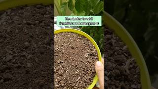 Fertilizer guide for houseplants gardeing gardeing [upl. by Clarinda607]