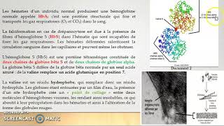 BacS Phénotype et protéines Partie 2Exercice dapplication la drépanocytose [upl. by Infield]