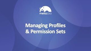 Managing Profiles and Permission Sets [upl. by Niles]