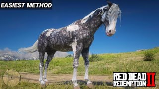 The Best Horse in Red Dead Redemption 2  Missouri Fox Trotter Silver Dapple Pinto  RDR2  PS4 Slim [upl. by Bitthia]