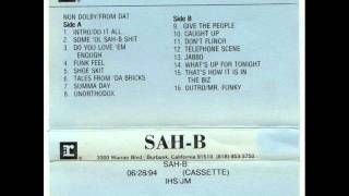 SAHB  UNORTHODOX  ultra rare 1994 NJ rap [upl. by Binnings168]