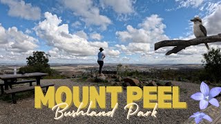 SOLO HIKE Mount Peel Bushland Park Toowoomba [upl. by Illom328]