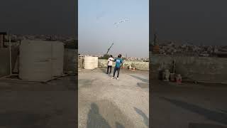 Sahil khan ne udhaye 2365 kabutar shortvideo pigeon foryou kabootar pigeonlover [upl. by Amyaj94]