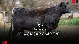 Remate La Rubeta 2024 Rp 8649 [upl. by Fleeta930]