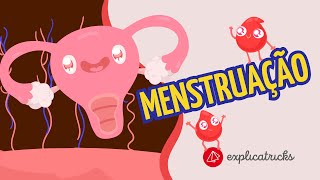 O que é menstruação [upl. by Ocirnor]