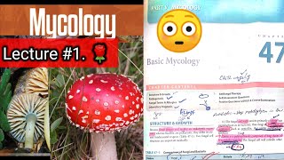 Basic mycology 🛑 LECTURE 1 Chap 47 Difference between fungi and bacteria hyphaeyt Lab diagnosis [upl. by Aitat521]