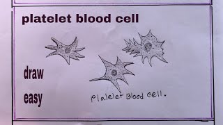 how to draw platelet blood cellplatelet blood cell drawing [upl. by Raine736]