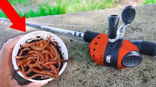 Fishing with Livebait Worms for Whatever Bites 4 Species [upl. by Zapot]