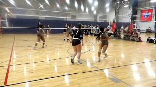 Gamepoint 17 Elite Gold vs Gamepoint 17 Elite Black [upl. by Chernow355]