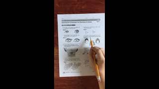 Determination of Genotypes from Phenotypes Lab [upl. by Hsinam837]