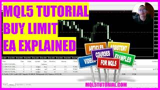 MQL5 TUTORIAL  SIMPLE BUY LIMIT EXPLAINED in 3 minutes [upl. by Aniv]