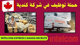 حملة توظيف في شركة الارساليات بدولة كندا👈intelcom express canada💲 ارسل طلبك الان بدون خبرة [upl. by Rettig]