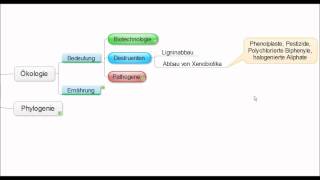 01 Crashkurs Mikrobiologie  Pilze Mycota allgemein [upl. by Ydissac753]