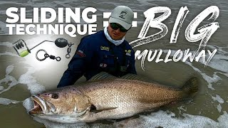 SLIDING BAITS TO CATCH BIG KOBMULLOWAY GIANT MULLOWAY OF SOUTH AFRICA SLIDE BAITING LIVE BAIT [upl. by Zeke419]