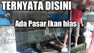 Pasar ikan hias dan konsumsi malabar tangerang RSVLOG20 [upl. by Bourgeois]