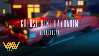 Vedat Alçay  Gülüşlerine Hayranım Official Lyrics Video [upl. by Latham119]