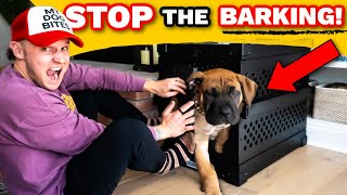 Puppy Training Why I ALMOST Gave Up Crate Training My Puppy Puppy Training Guide [upl. by Kamin]