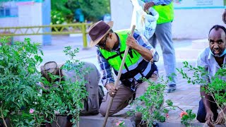 HARGEISA CITY MAYOR  QUEST FOR A GREEN CITY  2023 SOMALILAND [upl. by Aisatsana771]