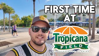 My First Game At Tropicana Field  Tampa Bay Florida Rays Vs Mariners [upl. by Shaine]