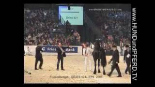 DRIES 421 Friesen KFPS Stallion Google Exclusive [upl. by Aredna]