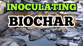 The Easy method for inoculating BIOCHAR [upl. by Harbison340]