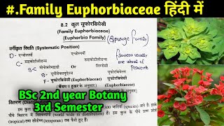 Family Euphorbiaceae in Hindi  BSc 2nd year Botany Third Semester [upl. by Mraz]