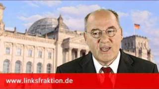 DIE LINKE Gregor Gysi Volksentscheide stützen die Demokratie [upl. by Placeeda]