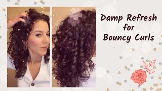 My Favorite 5Minute Curly Hair Refresh Routine [upl. by Adnalahs21]