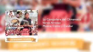 Guelaguetza 2018  La Compañera del Chinanteco [upl. by Ayekan218]