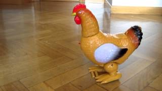 Gallina musical famosa [upl. by Dleifyar]