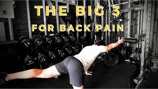 McGills Big 3 Exercises For Back Pain [upl. by Eimile]