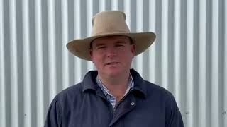 Inverell Cattle Market Report 9724 [upl. by Balough]