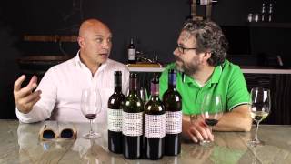 Luca DAttoma of Duemani Wines Ep 47 [upl. by Earissed]