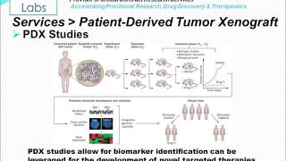 PatientDerived Tumor Xenograft PDX [upl. by Pinchas]