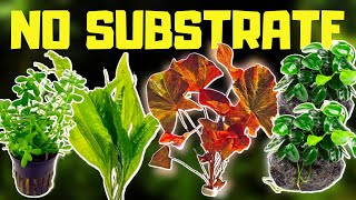 TOP 10 NO SUBSTRATE BEGINNER AQUARIUM PLANTS [upl. by Aufmann263]