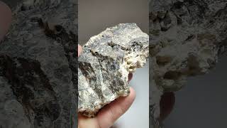 Turritella Agate Wyoming [upl. by Corissa]